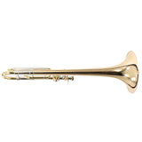 Bach Model 42B Professional Trombone with Gold Brass Bell
