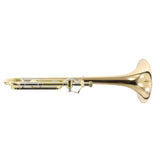 Bach Model 42B Professional Trombone with Gold Brass Bell