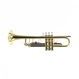 Bach Model BTR301 Student Bb Trumpet SN T19838 SUPERB- for sale at BrassAndWinds.com