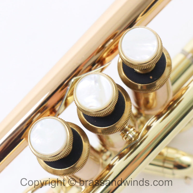 Bach Model LT1901B Stradivarius Commercial Bb Trumpet SB 769662 OPEN BOX- for sale at BrassAndWinds.com