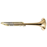 Bach Model LT42BOFG Stradivarius Professional Tenor Trombone SN 219353 OPEN BOX- for sale at BrassAndWinds.com