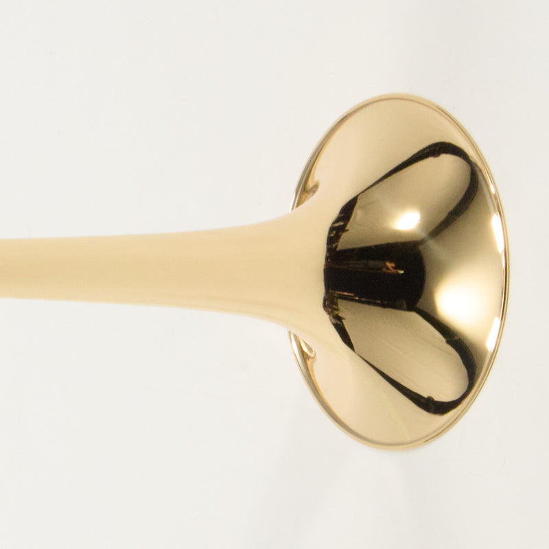 Bach Model LT42BOFG Stradivarius Professional Tenor Trombone SN 219863 EXCELLENT- for sale at BrassAndWinds.com
