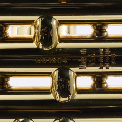 Bach Model VBS2 Professional Bb Trumpet (Export Model)