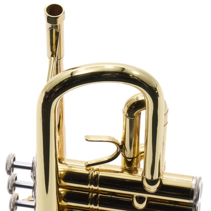 Bach Model VBS2 Professional Bb Trumpet (Export Model)