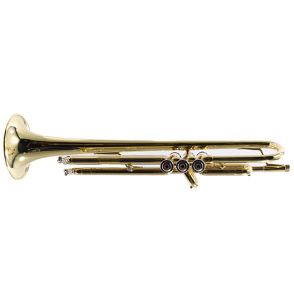 Bach Model VBS2 Professional Bb Trumpet (Export Model)