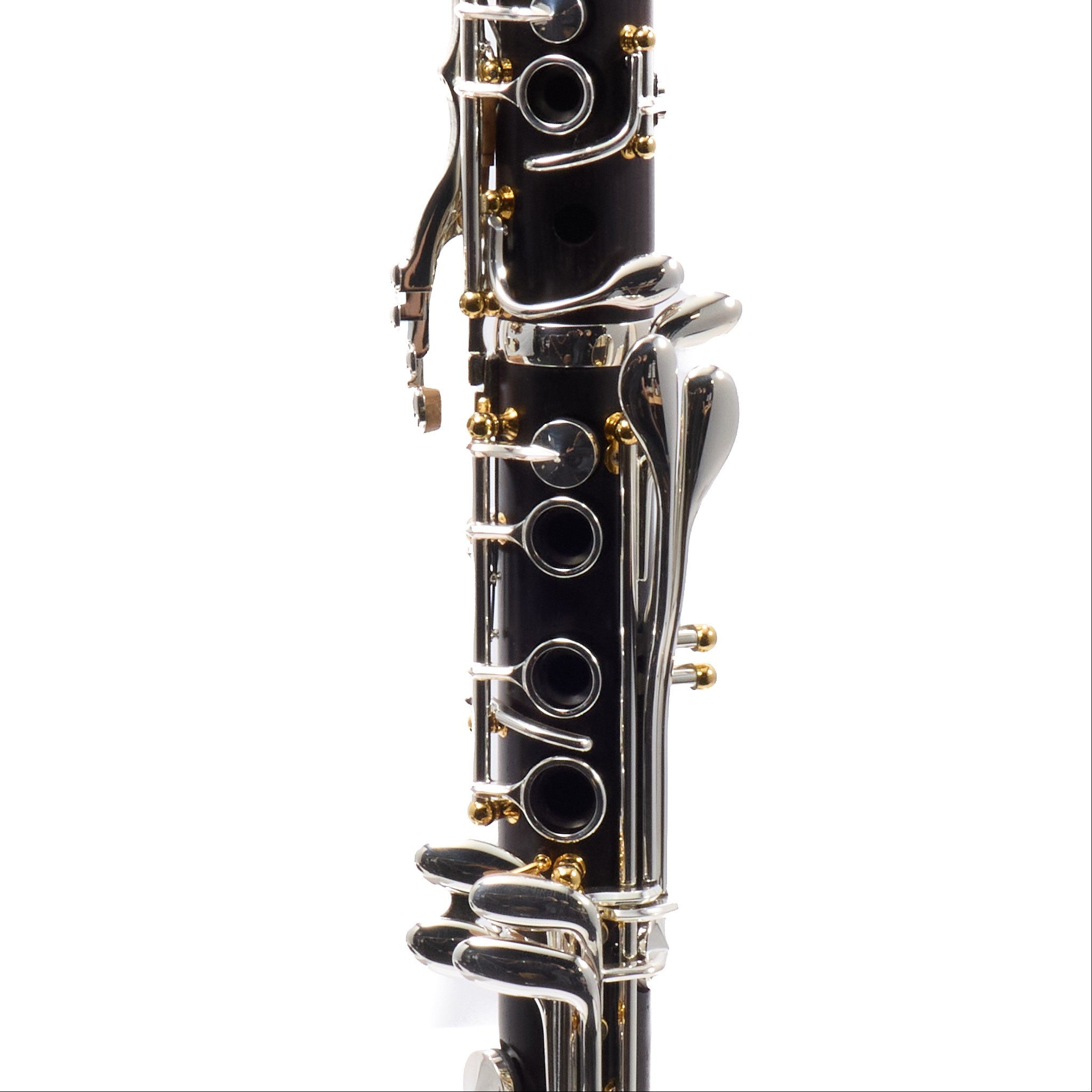 Backun BCLBPROTG-SKG 'Protege' Intermediate Bb Clarinet