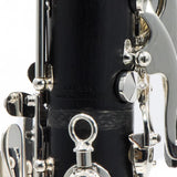 Backun 'Lumiere' Custom Bb Clarinet in Grenadilla SN 829 OPEN BOX