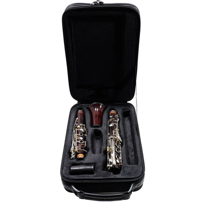 Backun 'Lumiere' Custom Cocobolo Bb Clarinet with Silver Keys/Gold Posts