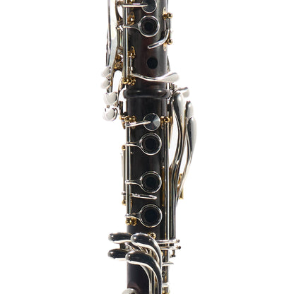 Backun 'Lumiere' Custom Cocobolo Bb Clarinet with Silver Keys/Gold Posts