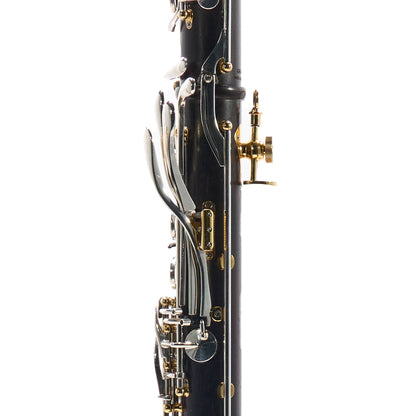 Backun 'Lumiere' Custom Cocobolo Bb Clarinet with Silver Keys/Gold Posts