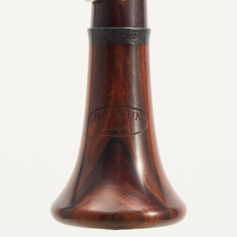 Backun Model BCLAQC-SKGE Q-Series Professional A Clarinet SN Q22417 OPEN BOX- for sale at BrassAndWinds.com