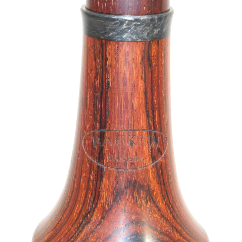 Backun Model BCLAQC-SKGE Q-Series Professional A Clarinet SN Q22418 OPEN BOX- for sale at BrassAndWinds.com