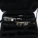 Backun Model BCLAQG-SKE Q-Series Professional A Clarinet BRAND NEW- for sale at BrassAndWinds.com