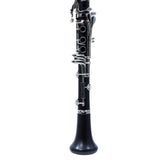 Backun Model BCLBALPHAG-NKP 'Alpha Plus' Student Bb Clarinet SN 12844 OPEN BOX
