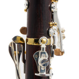Backun Model BCLBPROTC-SKG Bb Clarinet in Cocobolo SN PR4531 OPEN BOX