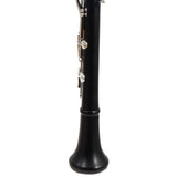 Backun Model BCLBPROTG-SK Bb Clarinet in Grenadilla SN PR785 OPEN BOX