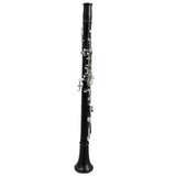 Backun Model BCLBPROTG-SK Bb Clarinet in Grenadilla SN PR785 OPEN BOX