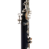 Backun Model BCLBPROTG-SK 'Protege' Intermediate Bb Clarinet