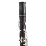 Backun Model BCLBPROTG-SKE Bb Clarinet in Grenadilla SN PZ1021 OPEN BOX