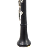 Backun Model BCLBPROTG-SKE Bb Clarinet in Grenadilla SN PZ1021 OPEN BOX