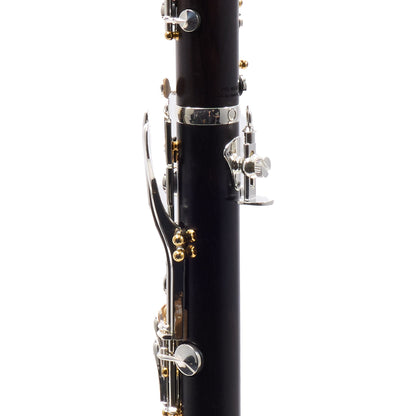 Backun Model BCLBPROTG-SKG 'Protege' Intermediate Bb Clarinet
