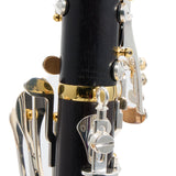 Backun Model BCLBPROTG-SKGE Bb Clarinet in Grenadilla SN PR4608 OPEN BOX