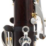 Backun Model BCLBQC-SKGE Q-Series Professional Bb Clarinet SN Q22324 OPEN BOX- for sale at BrassAndWinds.com