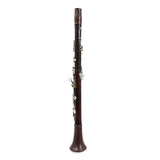 Backun Model BCLBQC-SKGE Q-Series Professional Bb Clarinet in Cocobolo SN Q22373 OPEN BOX- for sale at BrassAndWinds.com