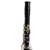 Backun Protege Bb Clarinet SN PR10134 OPEN BOX