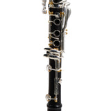 Backun Protege Bb Clarinet SN PR10134 OPEN BOX