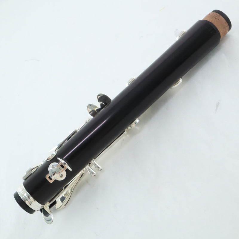 Buffet Crampon Model BC1131-2-0 R13 Professional Bb Clarinet OPEN BOX- for sale at BrassAndWinds.com