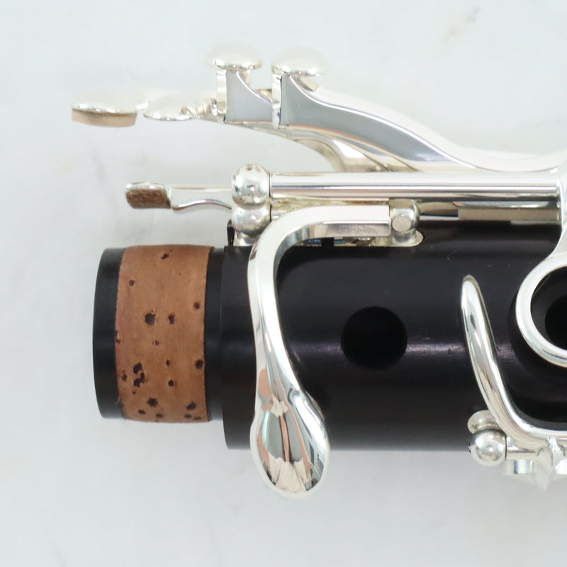 Buffet Crampon Model BC1131-2-0 R13 Professional Bb Clarinet OPEN BOX- for sale at BrassAndWinds.com