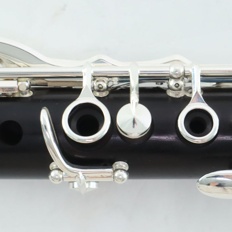 Buffet Crampon Model BC1131-2-0 R13 Professional Bb Clarinet OPEN BOX- for sale at BrassAndWinds.com