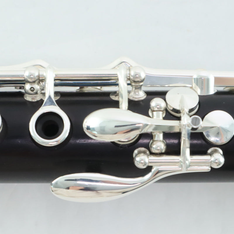 Buffet Crampon Model BC1131-2-0 R13 Professional Bb Clarinet OPEN BOX- for sale at BrassAndWinds.com