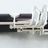 Buffet Crampon Model BC1131-2-0 R13 Professional Bb Clarinet OPEN BOX- for sale at BrassAndWinds.com