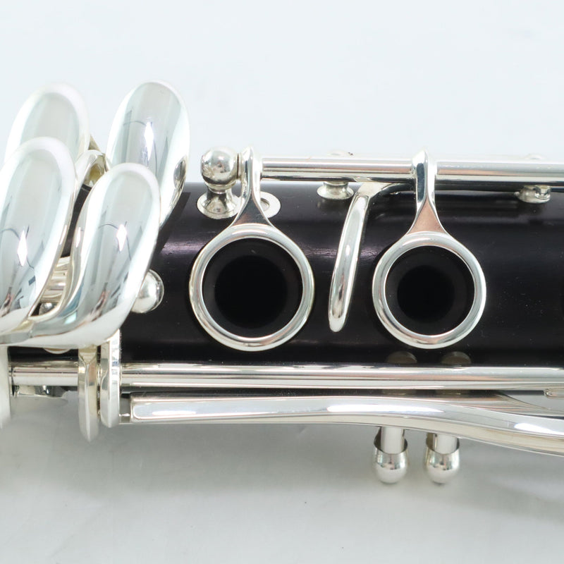 Buffet Crampon Model BC1131-2-0 R13 Professional Bb Clarinet OPEN BOX- for sale at BrassAndWinds.com