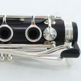 Buffet Crampon Model BC1131-2-0 R13 Professional Bb Clarinet OPEN BOX- for sale at BrassAndWinds.com