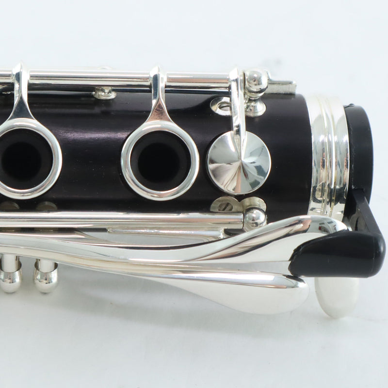 Buffet Crampon Model BC1131-2-0 R13 Professional Bb Clarinet OPEN BOX- for sale at BrassAndWinds.com