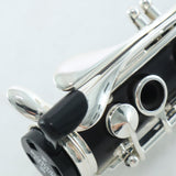 Buffet Crampon Model BC1131-2-0 R13 Professional Bb Clarinet OPEN BOX- for sale at BrassAndWinds.com