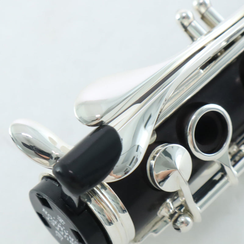 Buffet Crampon Model BC1131-2-0 R13 Professional Bb Clarinet OPEN BOX- for sale at BrassAndWinds.com