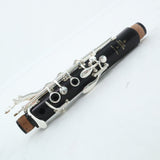 Buffet Crampon Model BC1131-2-0 R13 Professional Bb Clarinet OPEN BOX- for sale at BrassAndWinds.com