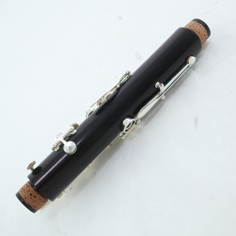 Buffet Crampon Model BC1131-2-0 R13 Professional Bb Clarinet OPEN BOX- for sale at BrassAndWinds.com