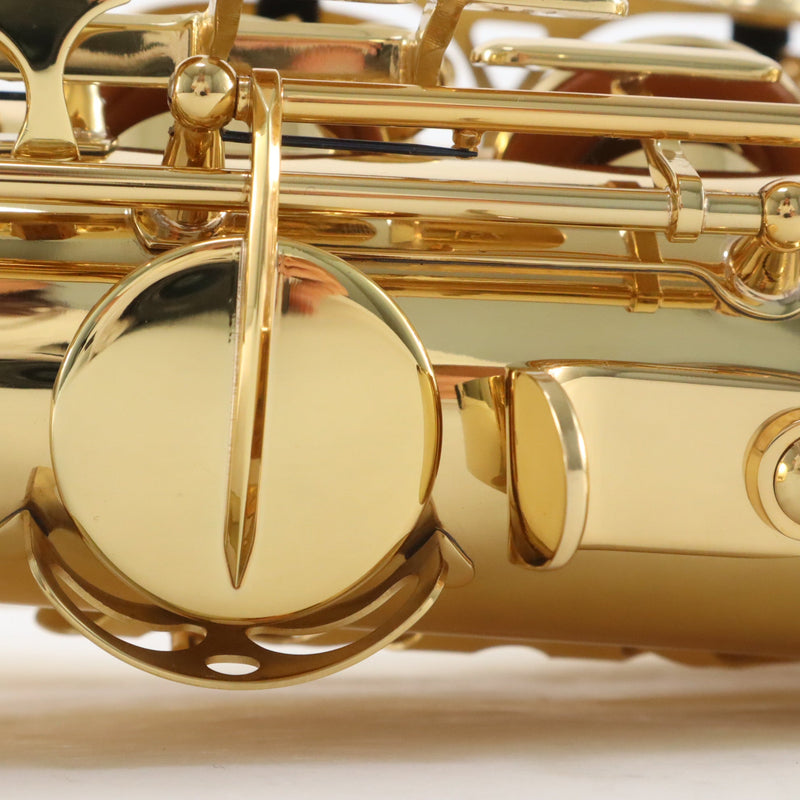 Buffet Crampon Model BC8102-1-0 Beginner Tenor Saxophone SN 2500886 BRAND NEW- for sale at BrassAndWinds.com