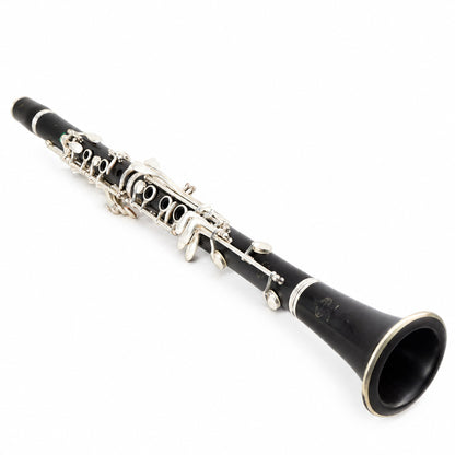 Buffet Crampon R13 'Greenline' Professional Bb Clarinet