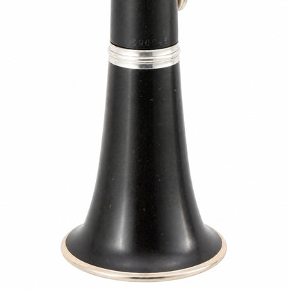 Buffet Crampon R13 'Greenline' Professional Bb Clarinet