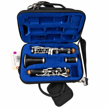 Buffet Crampon R13 'Greenline' Professional Bb Clarinet