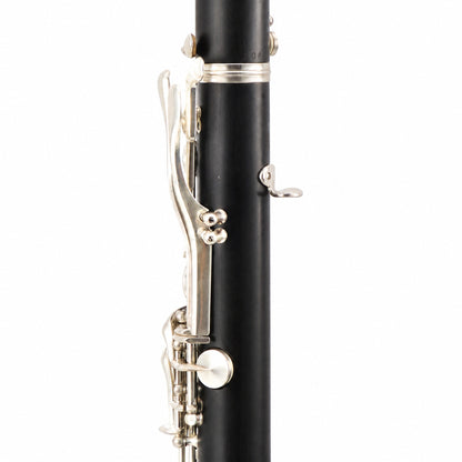 Buffet Crampon R13 'Greenline' Professional Bb Clarinet