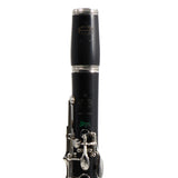 Buffet Crampon R13 'Greenline' Professional Bb Clarinet SN 591845 FRESH OVERHAUL