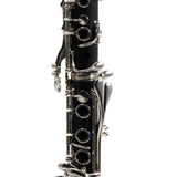 Buffet Crampon R13 'Greenline' Professional Bb Clarinet SN 591845 FRESH OVERHAUL
