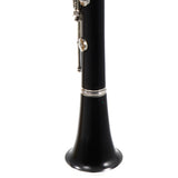 Buffet Crampon R13 'Greenline' Professional Bb Clarinet SN 591845 FRESH OVERHAUL
